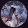 follower