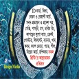 Shafahidul islam প্রোফাইল ছবি